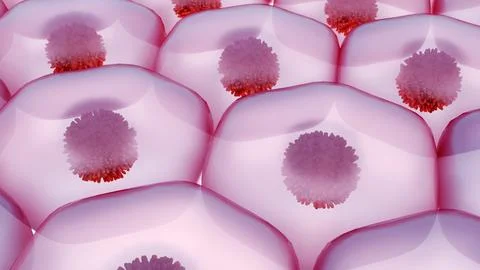 A 3D hexagonal cells with dark nuclei. Stock Illustration