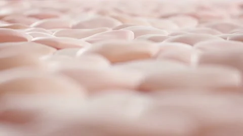 3D Hexagonal Skin Set - Macro Shot Of Dry Skin Soothing After Skin Repair Video stock 142061910