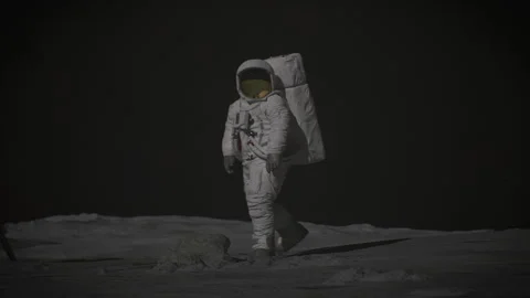 3D Highlights of the Apollo 11 on The front Of the lunar landing Stock Footage 289959462