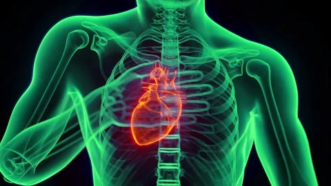 3D hologram of human body Video stock 300257543