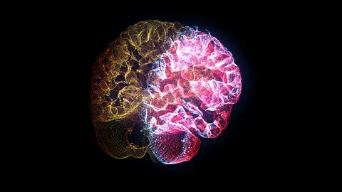 3D Hologram Human Skull, Brain On Black Background. Stock Footage 119855262
