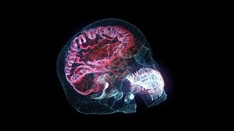 3D Hologram Human Skull, Brain On Black Background. Stock Footage 119855298