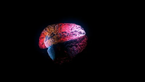 3D Hologram Human Skull, Brain On Black Background. Stock Footage 119855491