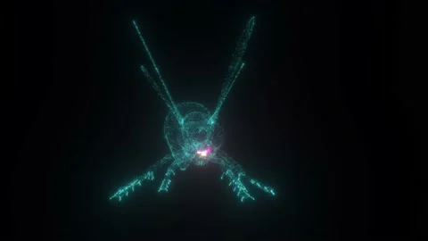 3d Hologram of Wasp 4k Stock Footage 148035959