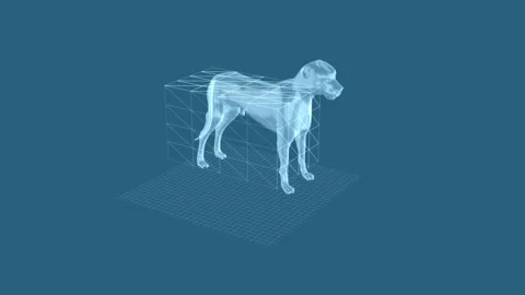3D Holographic Dog Render with Wireframe Design on Blue Background 库存影片 343120691