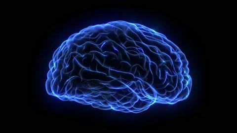 3d Holographic of Human Brain Stock Footage 146925577
