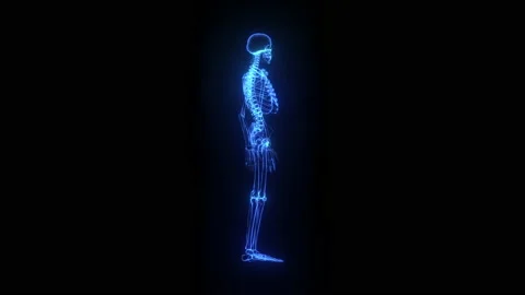 3d Holographic of Human Skeleton Stock Footage 146925234