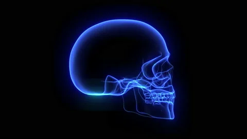 3d Holographic of Human Skull Stock Footage 146925319