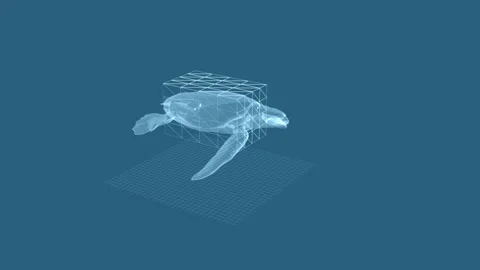 3D Holographic Sea Turtle Rendering With Geometric Grid Overlay Design Stock Footage 342251932