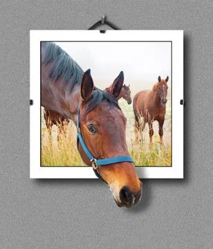 3d horse head in a frame Stock Illustration