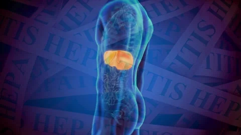 3D Human Anatomy Highlighting Glowing Liver Over Hepatitis Text Stock Footage 337048265