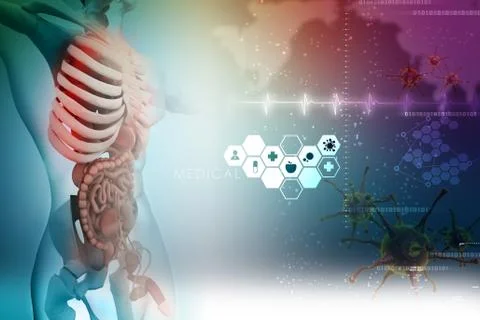 3d human anatomy Illustrazione stock