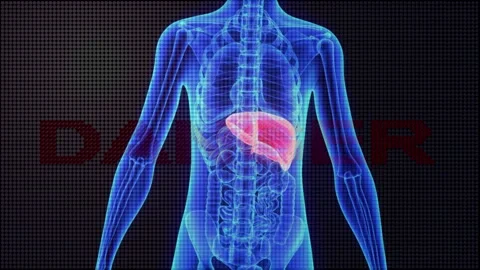 3D Human Anatomy with Red Liver and Flashing Danger Warning Text Видео 336900604