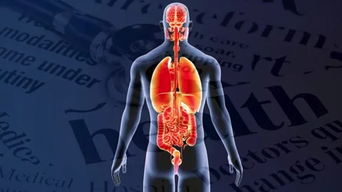 3D Human Anatomy Showing Internal Organs Over Medical Text Stock Footage 337048250