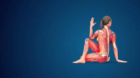 3D human Ardha Matsyendrasana yoga pose on blue background Ilustración de archivo