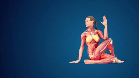 3D human Ardha Matsyendrasana yoga pose on blue background イラスト素材