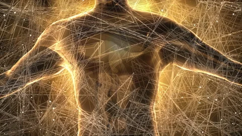 3D Human Body with abstract net effect Video stock 202107093