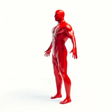 3d human body render Stock Illustration