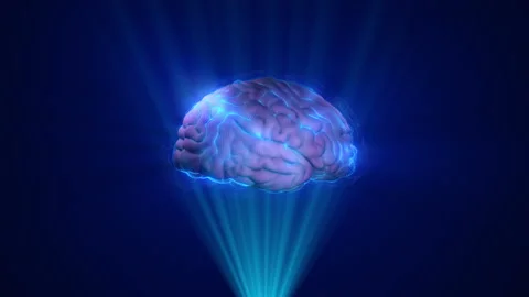 3d Human brain on the digital interface in the neurobiology research laboratory Видео 171869115