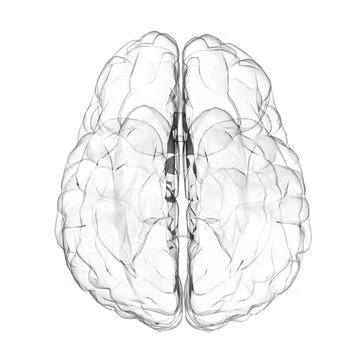 3d Human brain glass effect on white background Stock Illustration
