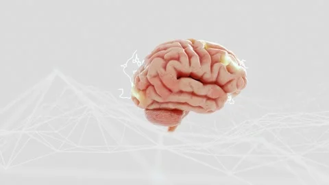 3D human brain with glowing neural activity above abstract wireframe network Video stock 296311607