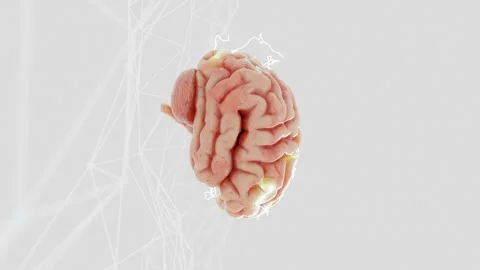 3D human brain with glowing neural activity above abstract wireframe network Video stock 296312107