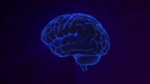 3D human brain made of high-tech linear grid with motion camera effect Stock Footage 251866029