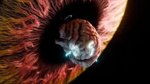 3D human brain model with electric impulses floating over detailed iris of Vídeo Stock 308982452