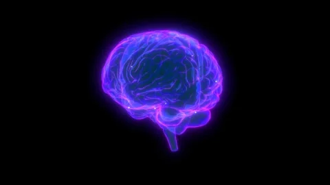3D human brain with neuronal impulses glowing purple and blue on black 스톡 동영상 347359019
