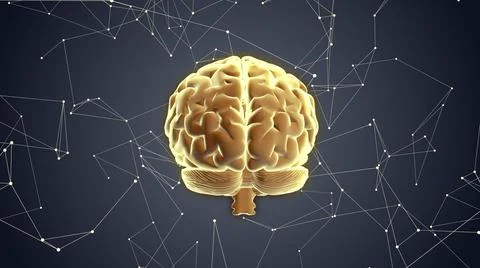 3d human brain on plexus background Stock Illustration