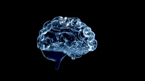 3d human brain transparent icon isolated on black background. 3d illustrati.. Stock Footage 304210047