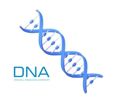 3D human DNA helix structure icon Stock Illustration