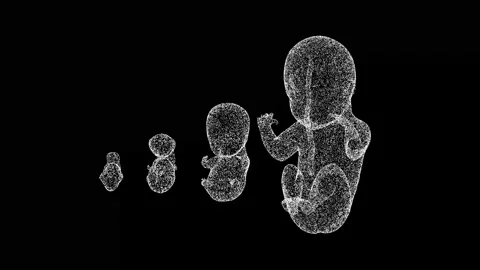 AI-trained embryo labeling technique boosts IVF success - ISRAEL21c