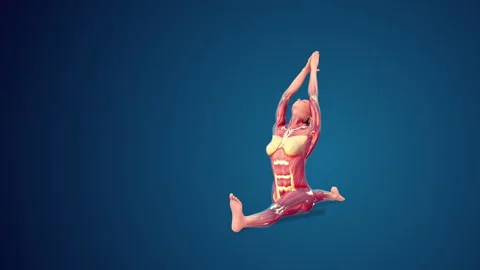 3D human Hanumanasana or Monkey yoga pose on blue background, loopable Vídeo Stock 219303277
