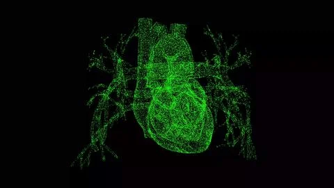 3D human heart on black bg. Cardiovascular system human body. Object dissol.. Illustrazione stock