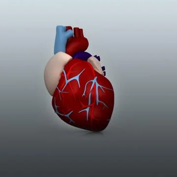 3d human heart in digital  background Stock Illustration