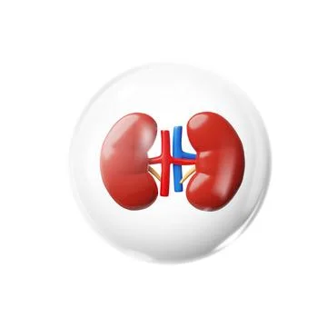 3D human kidneys in a protective bubble, isolated icon. Stock Illustration