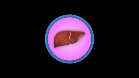 3d Human Liver organ icon isolated on bl... | Stock Video | Pond5