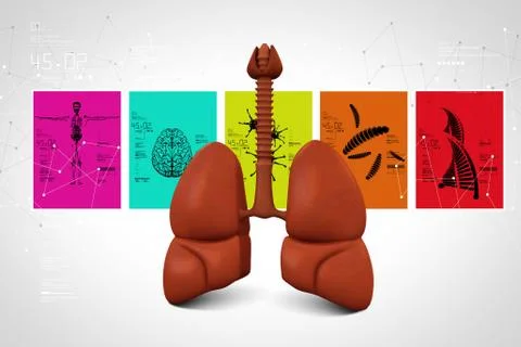 3d human lungs Ilustración de archivo