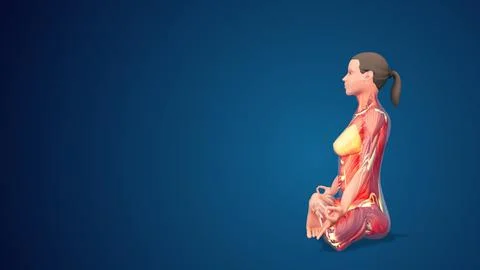 3D human Mulabandhasana or Root Lock yoga pose on blue background Ilustração Stock