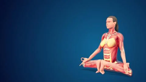 3D human Mulabandhasana or Root Lock yoga pose on blue background Illustration