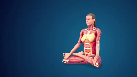 artistic yoga pose 3D Render | RenderHub Gallery