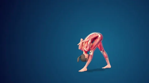 3D human Parsvottanasana reverse namaskar yoga pose on blue background, loopable 스톡 동영상 215725327