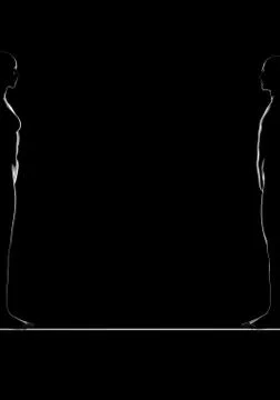 3d human shapes in a row .Man and woman shapes. 3d rendering . 3d illustratio Stock Illustration