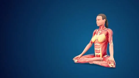 3D human Siddhasana or Adept’s yoga Pose on blue background Ilustración de archivo