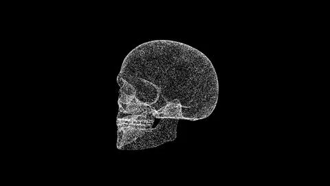 3D human skull on black background. Object dissolved white flickering parti.. Stockillustratie