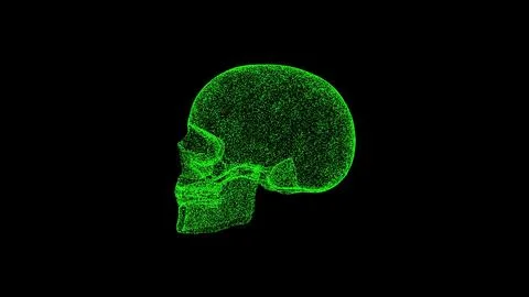 3D human skull on black background. Object dissolved green flickering particl Ilustração Stock