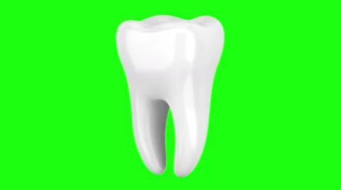 3d human tooth loop rotate on green chromakey background Stock Footage 48975793