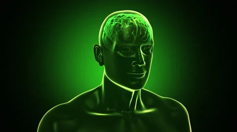3D Human torso with brain and neurons flashing. Loopable. Dolly in. Stock Footage 54858857