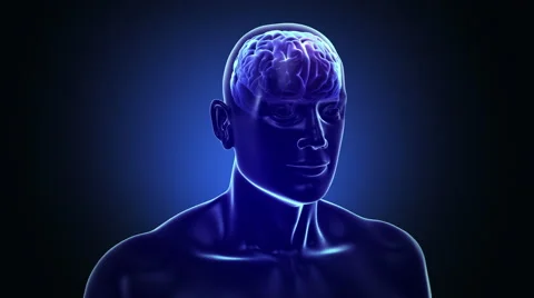 3D Human torso with brain and neurons flashing. Loopable. Dolly in. Stock Footage 59591645